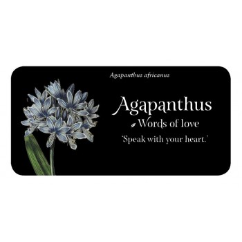 The Language of Flowers Inspiration kortos Rockpool
